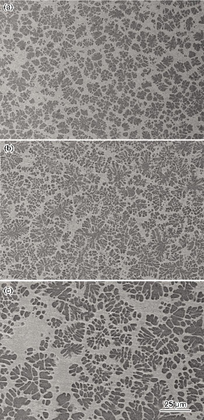 imgA689.jpg