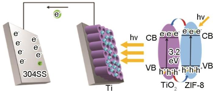 ZIF-8/TiO2纳米复合材料的制备及光生阴极保护性能